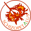 Schizopetalus